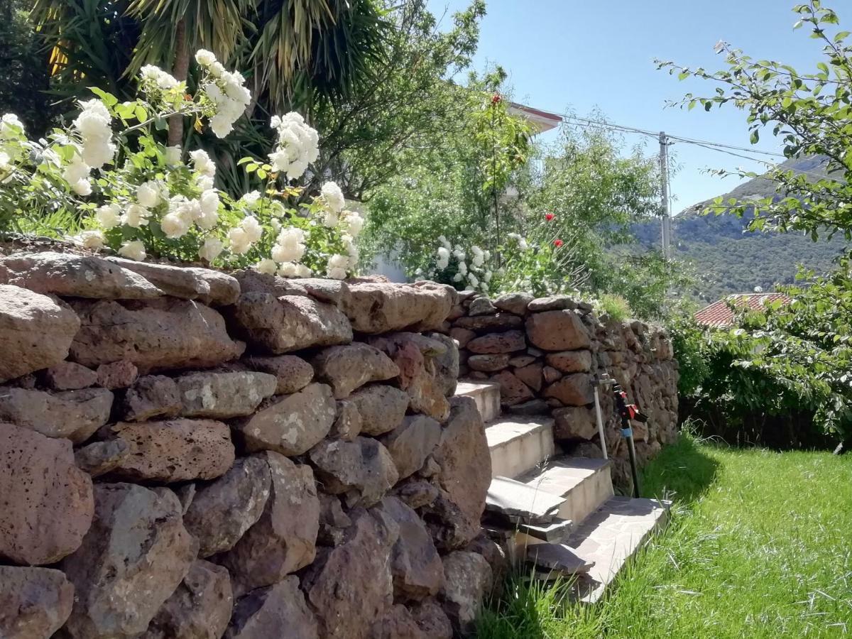 Casa Vacanze Villa Rosetta Dorgali Extérieur photo